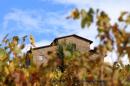 Autumn 2010